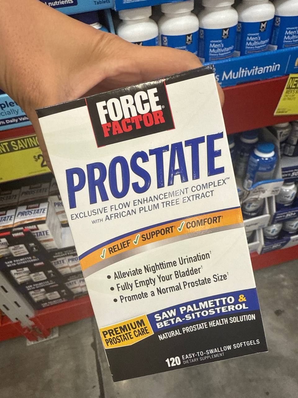 Prostate