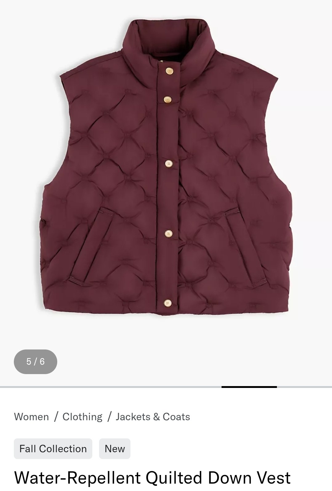 Vest