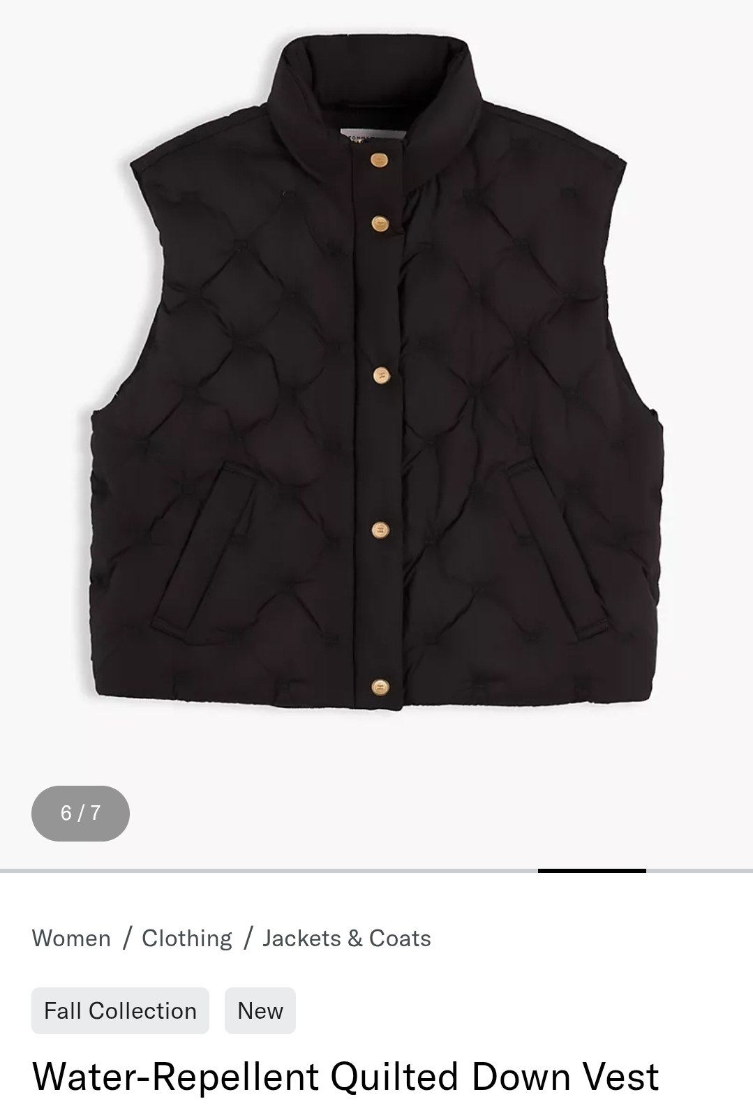 Vest