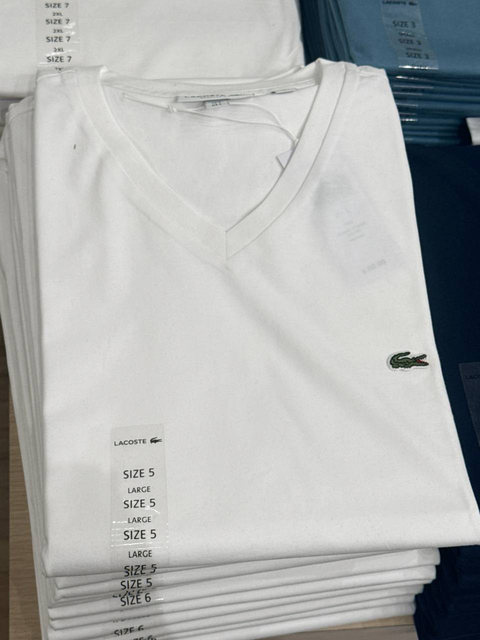 camiseta gola V manga curta regular fit  cor única