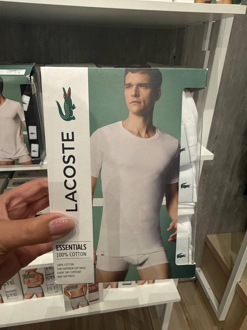 kit 3 camisetas 100% algodão