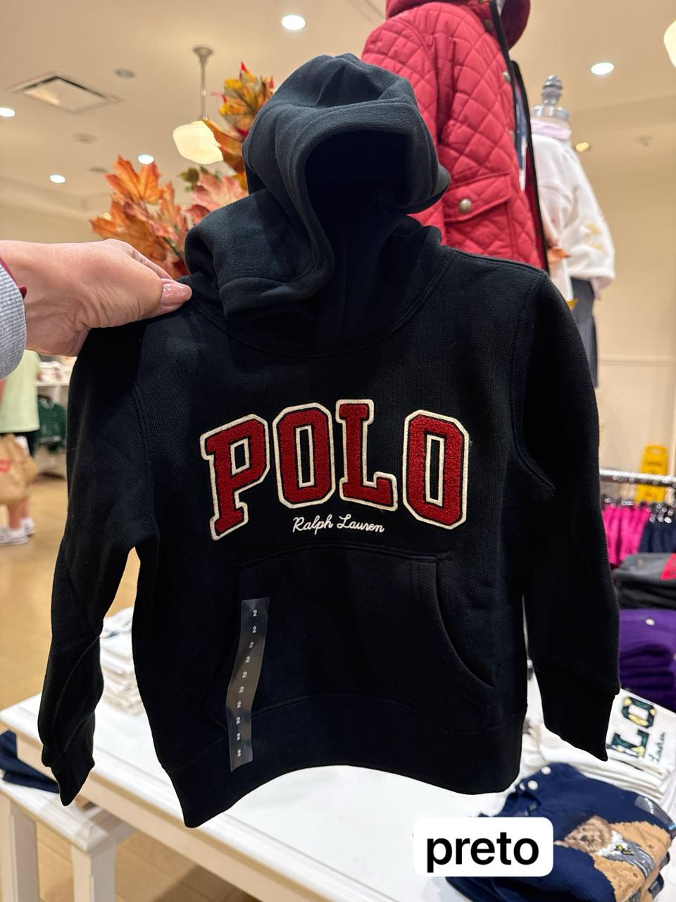 Moletom com  fleece  e capuz