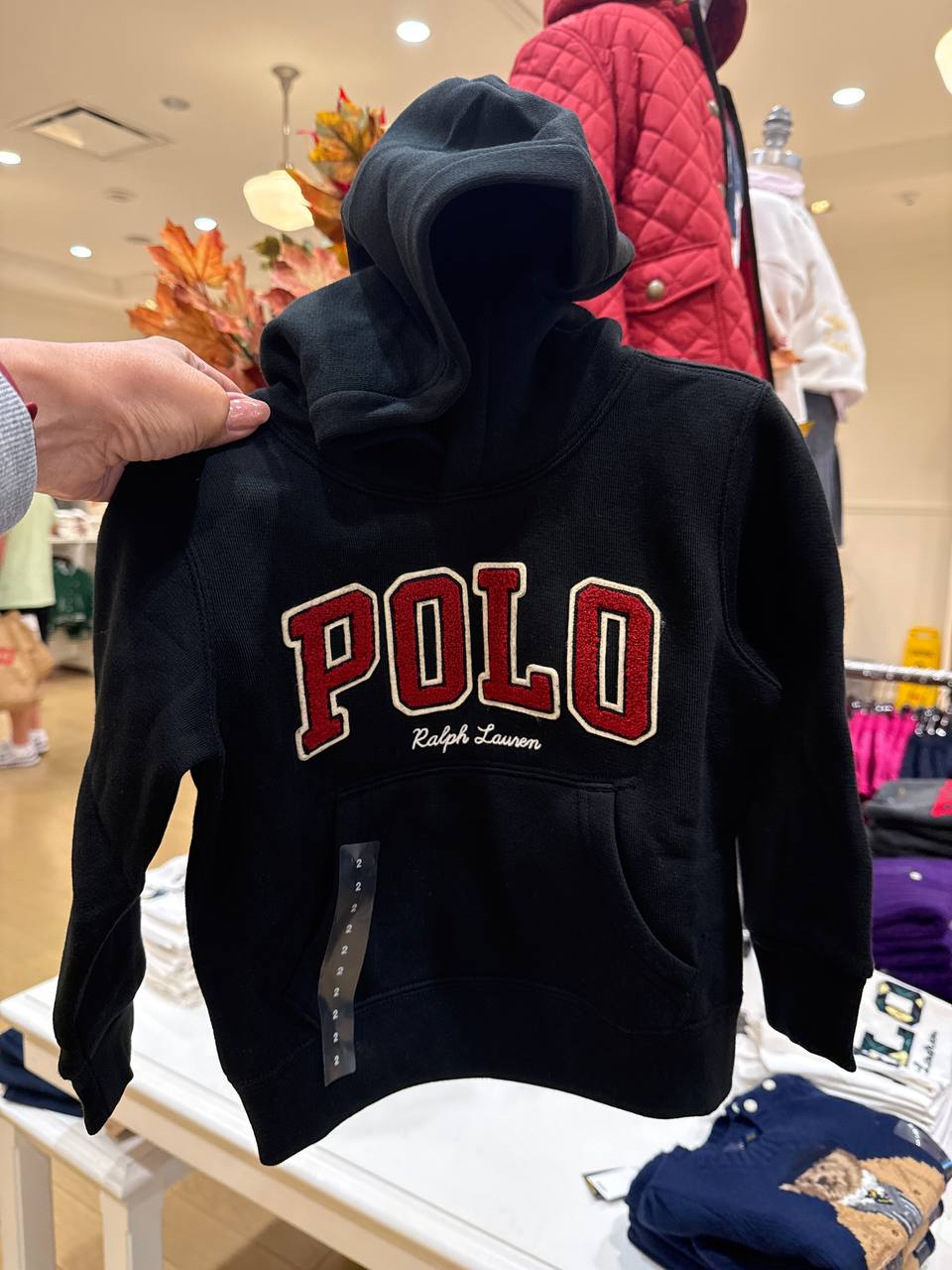 moletom com fleece e capuz