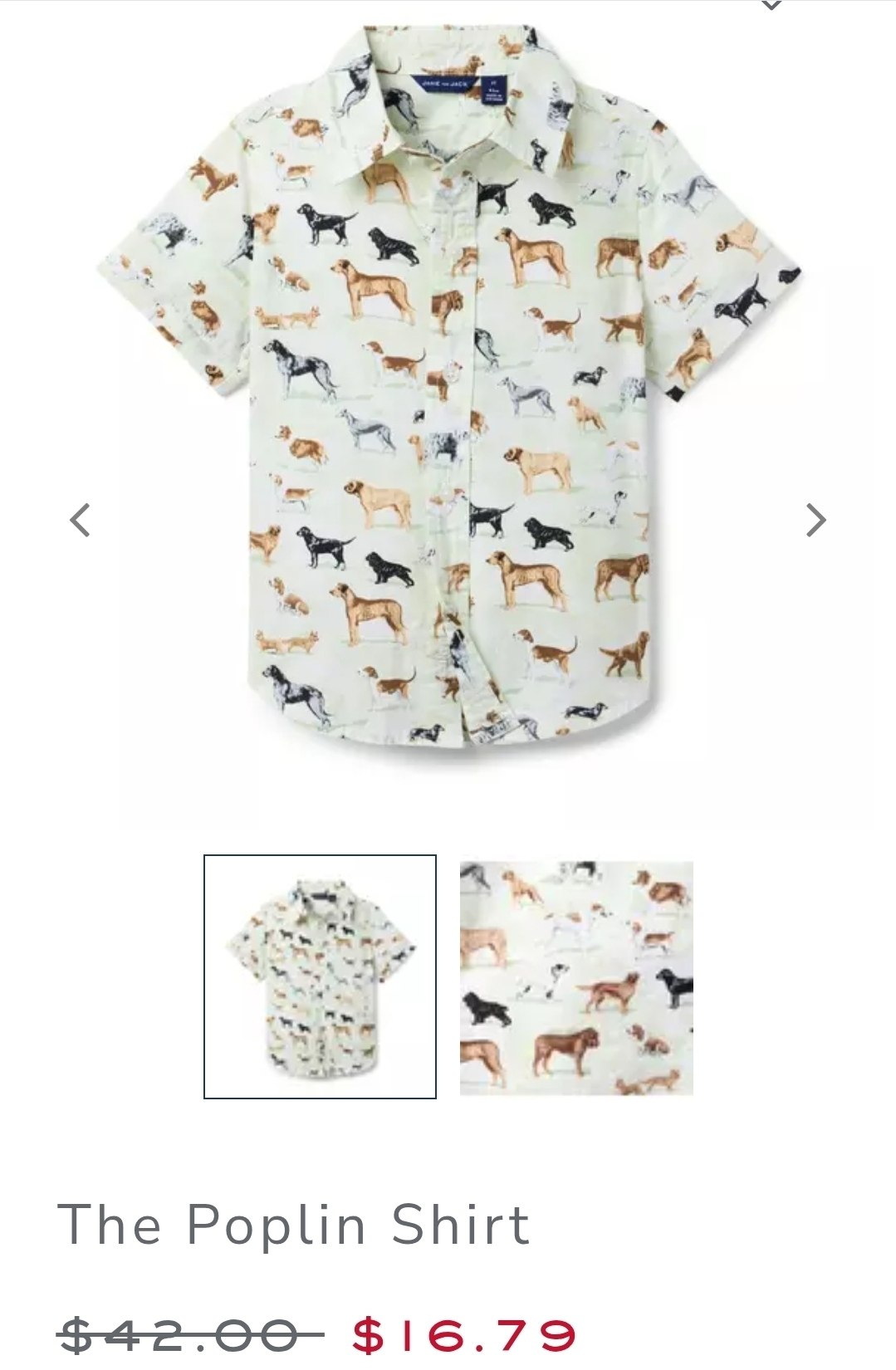 Shirt