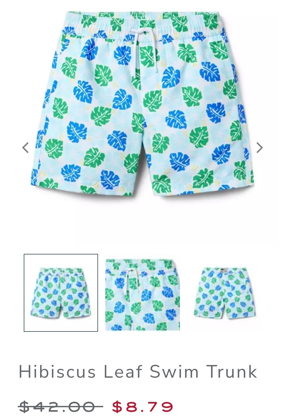 Swim Trunk