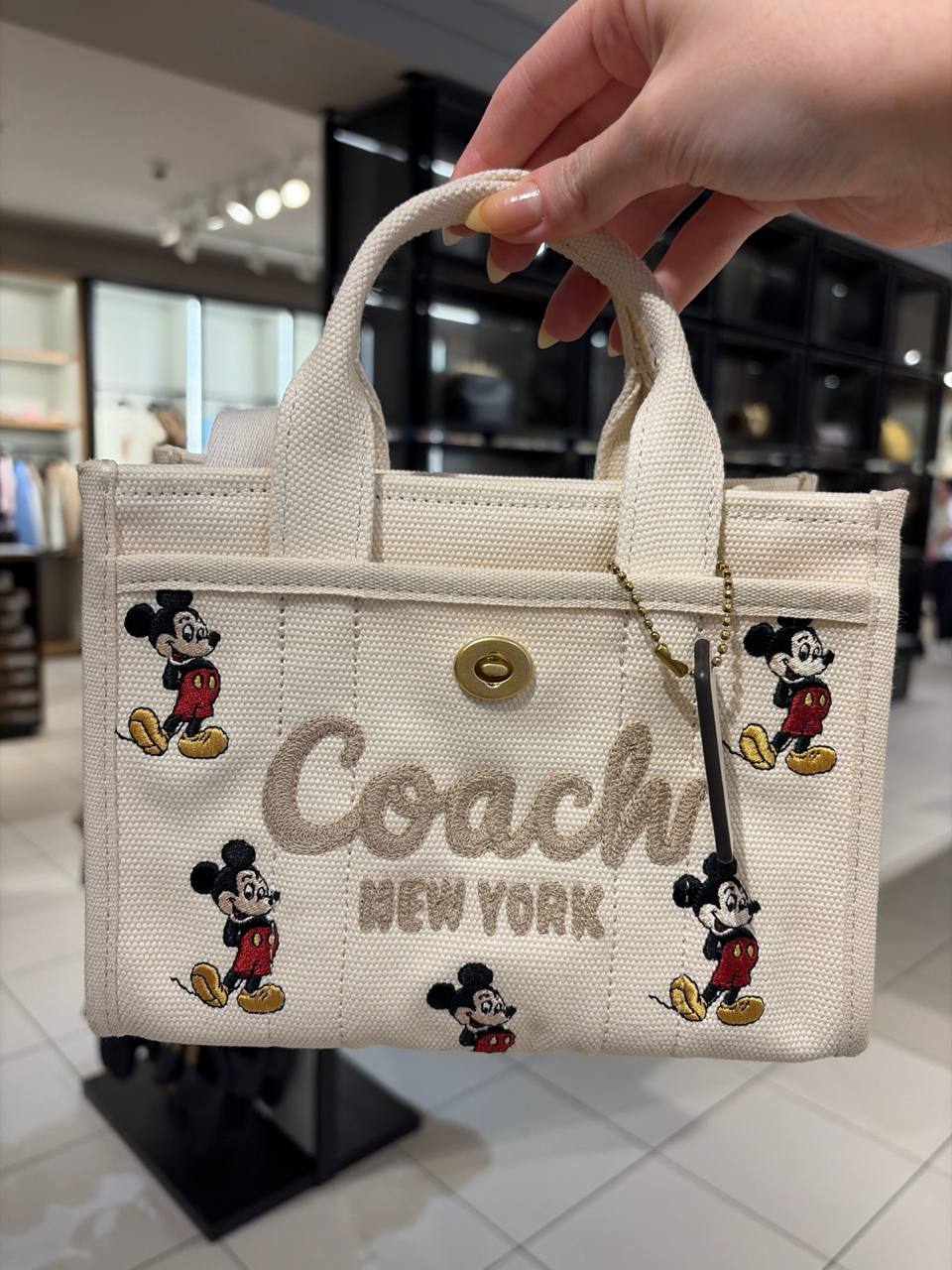 Disney tote bag pequena