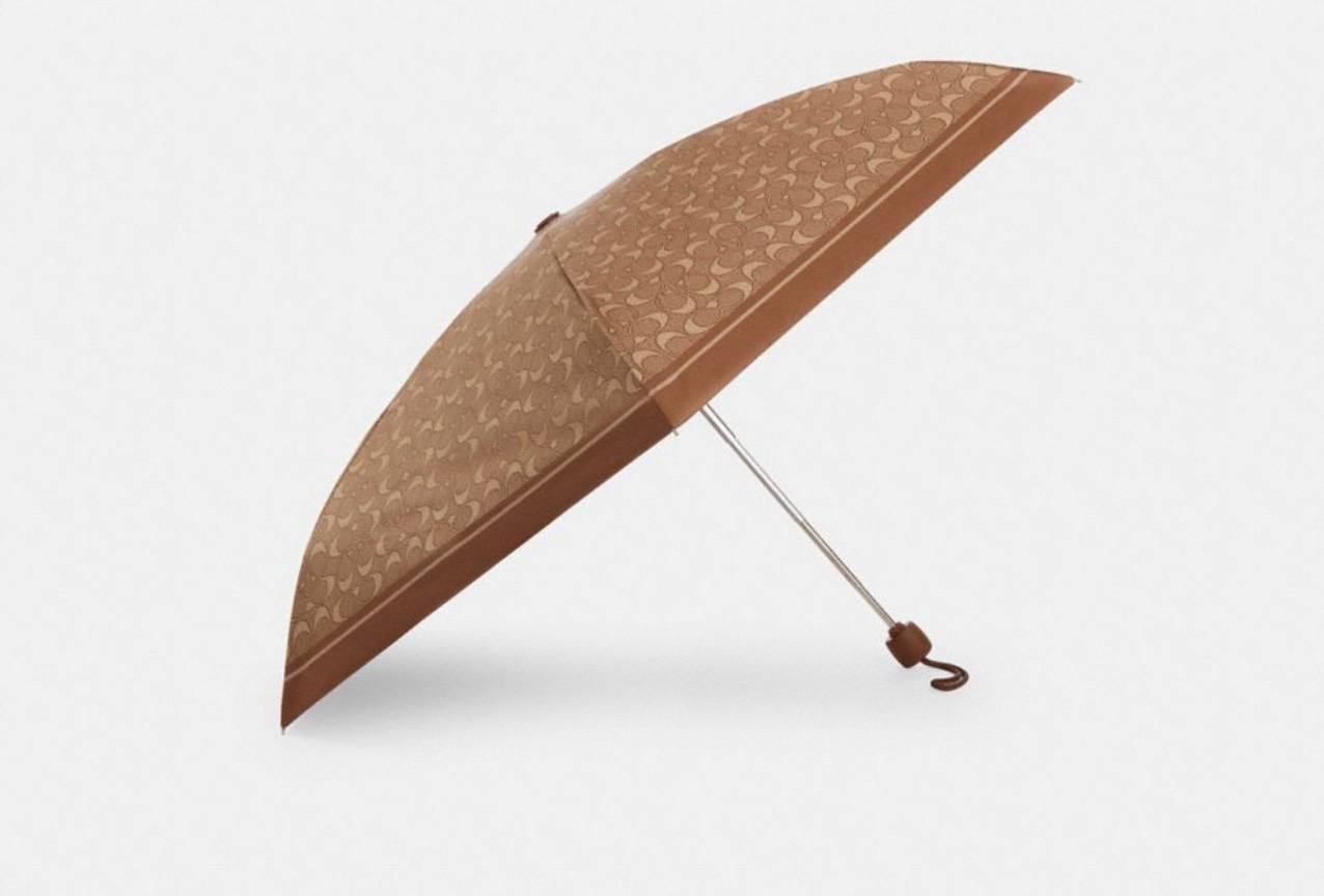 Guarda Chuva