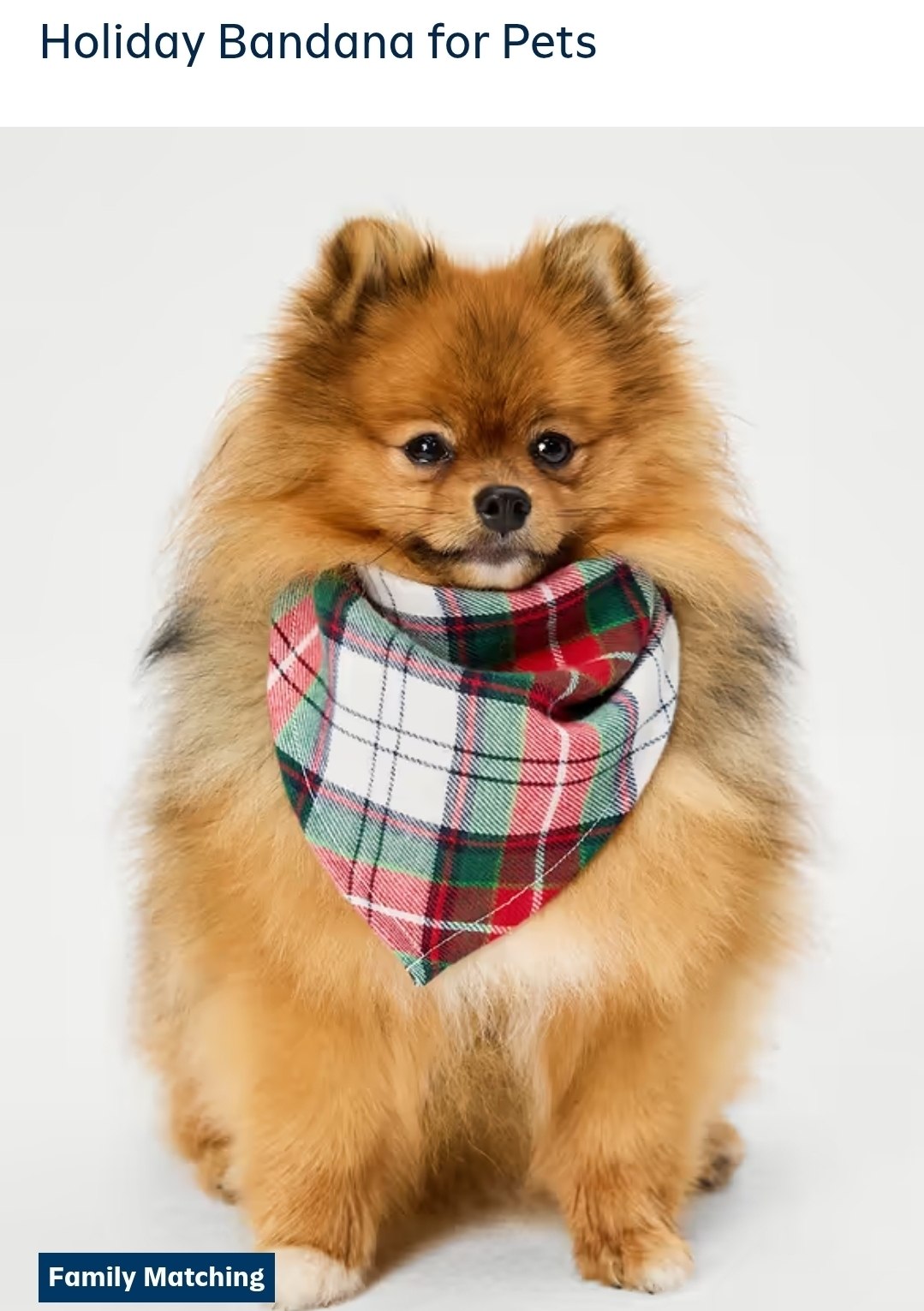 Bandana - Old Navy