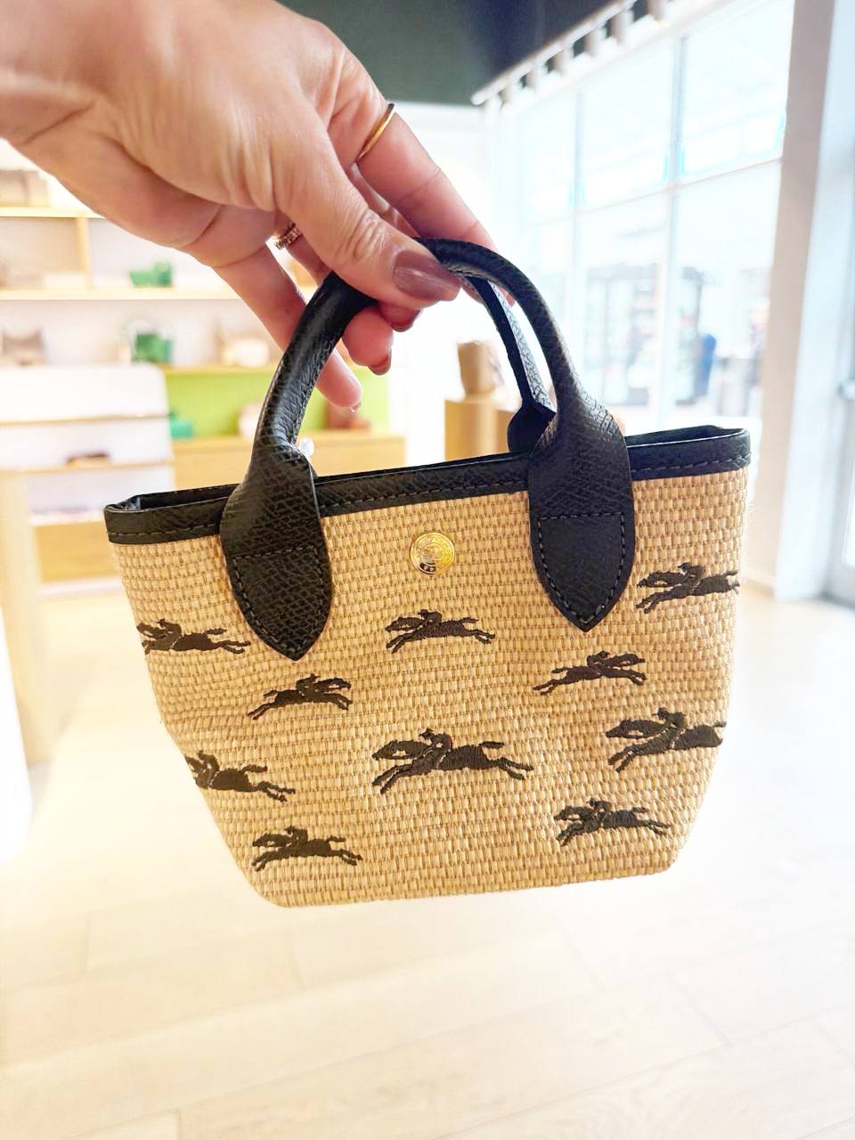 Bolsa Le Panier Pliage XS