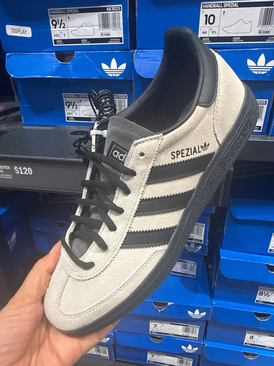 Tenis  número Americano