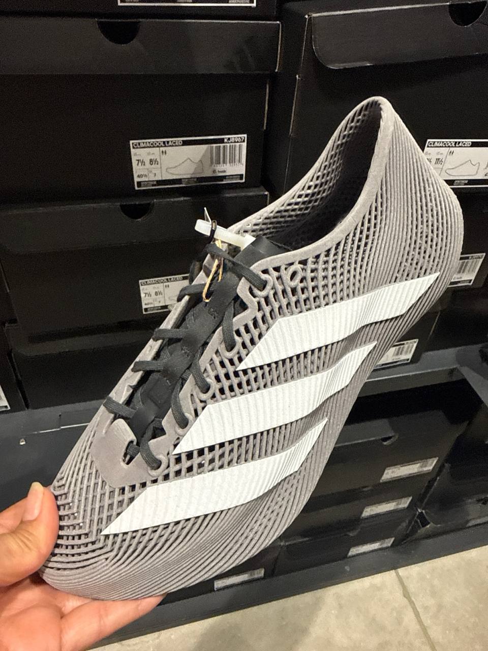 Tenis  número Americano