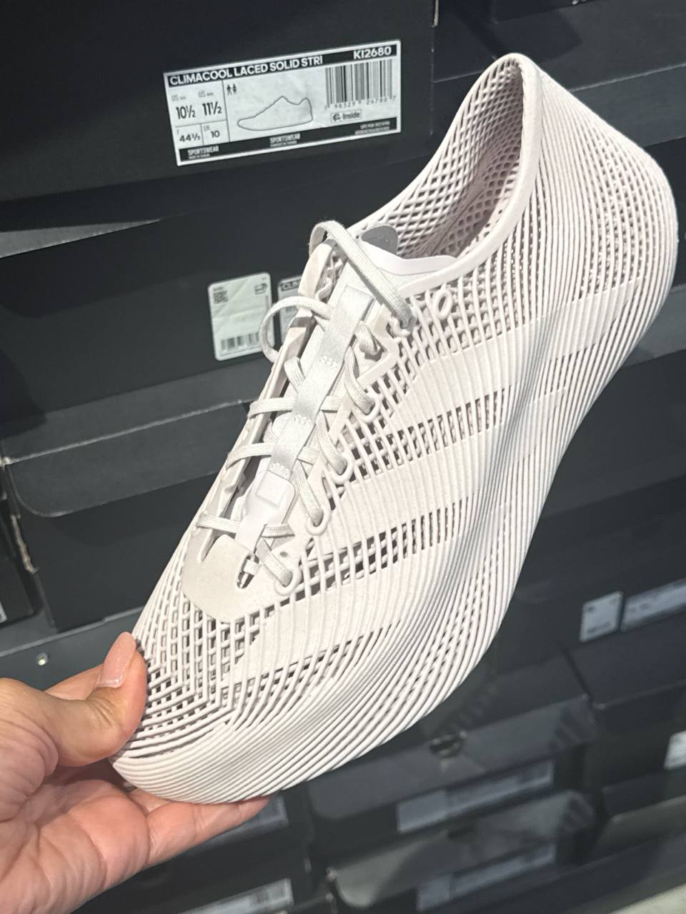 Tenis  número Americano