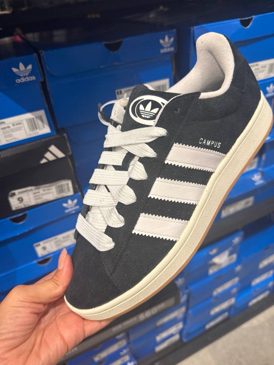 Tenis  número Americano