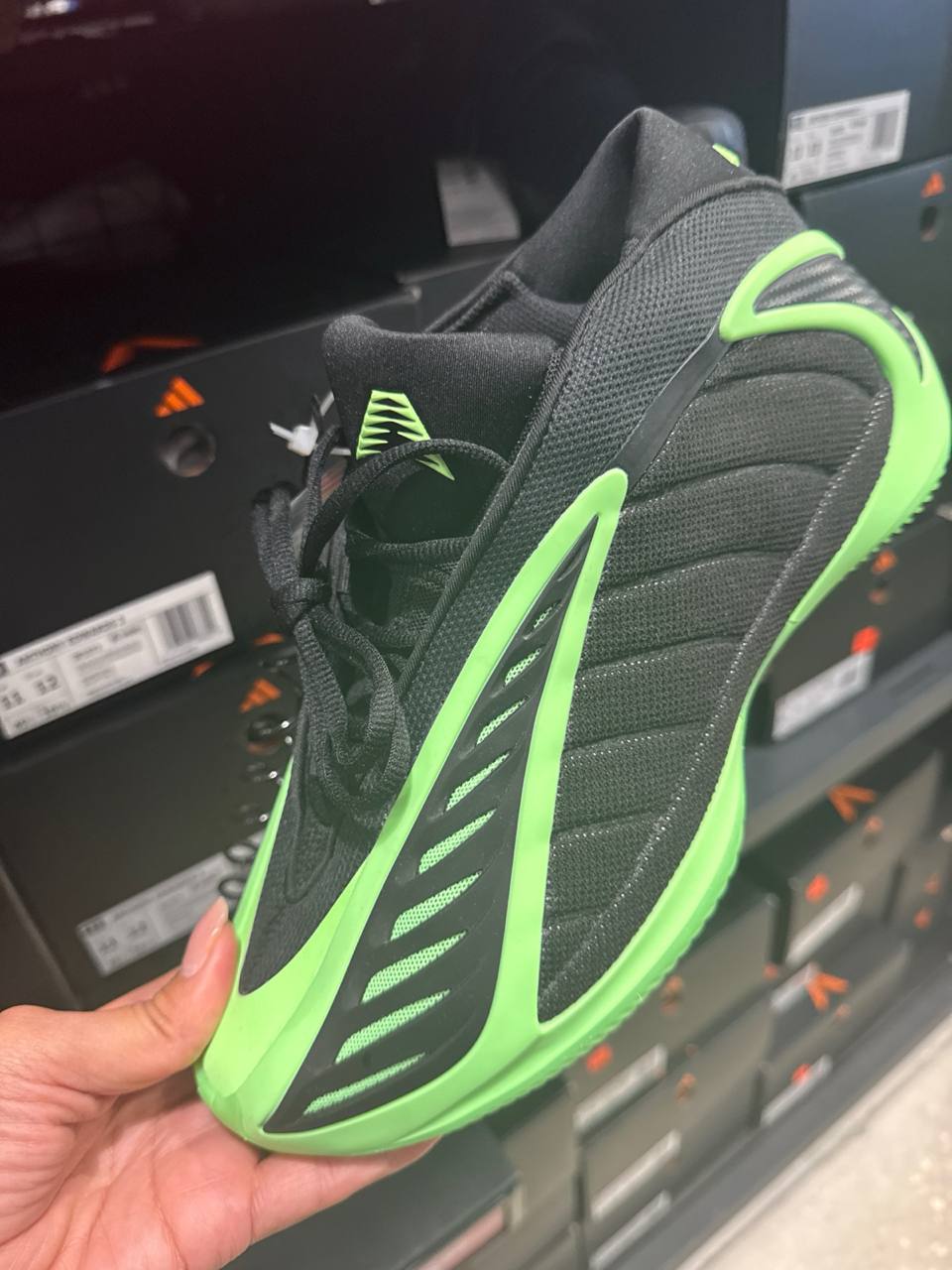 Tenis  número Americano