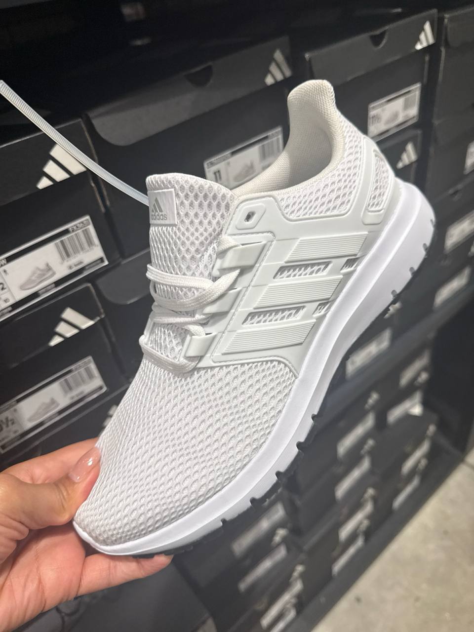 Tenis  número Americano