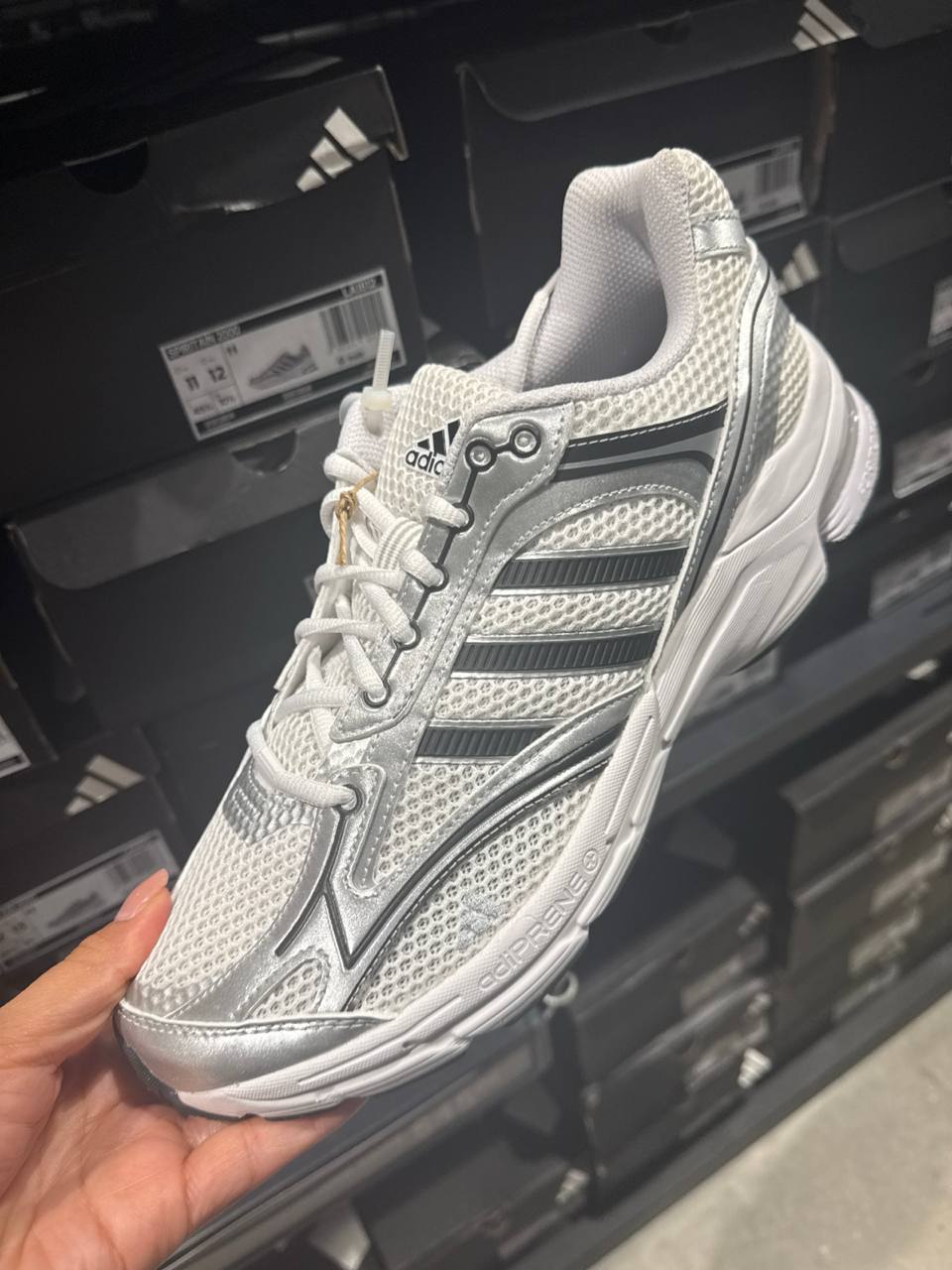 Tenis  número Americano