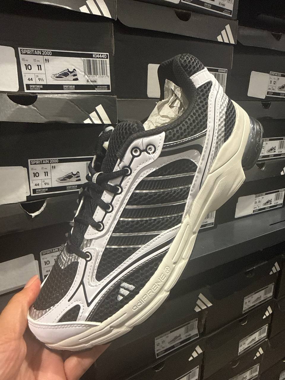 Tenis  número Americano