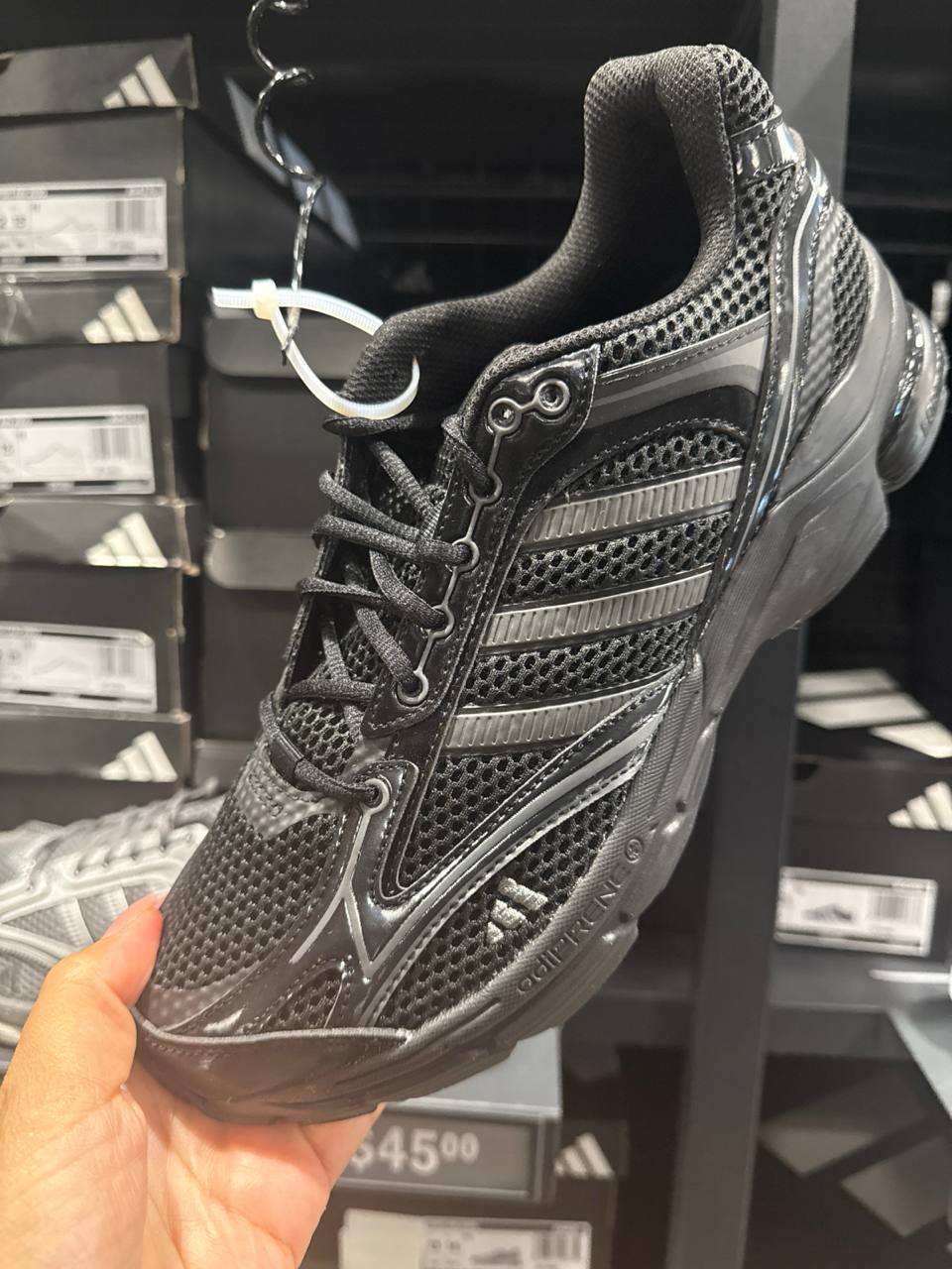 Tenis  número Americano