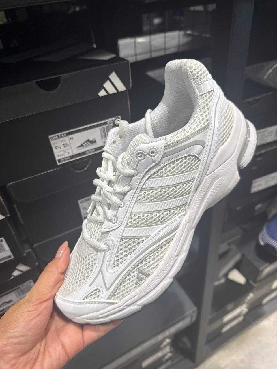 Tenis  número Americano
