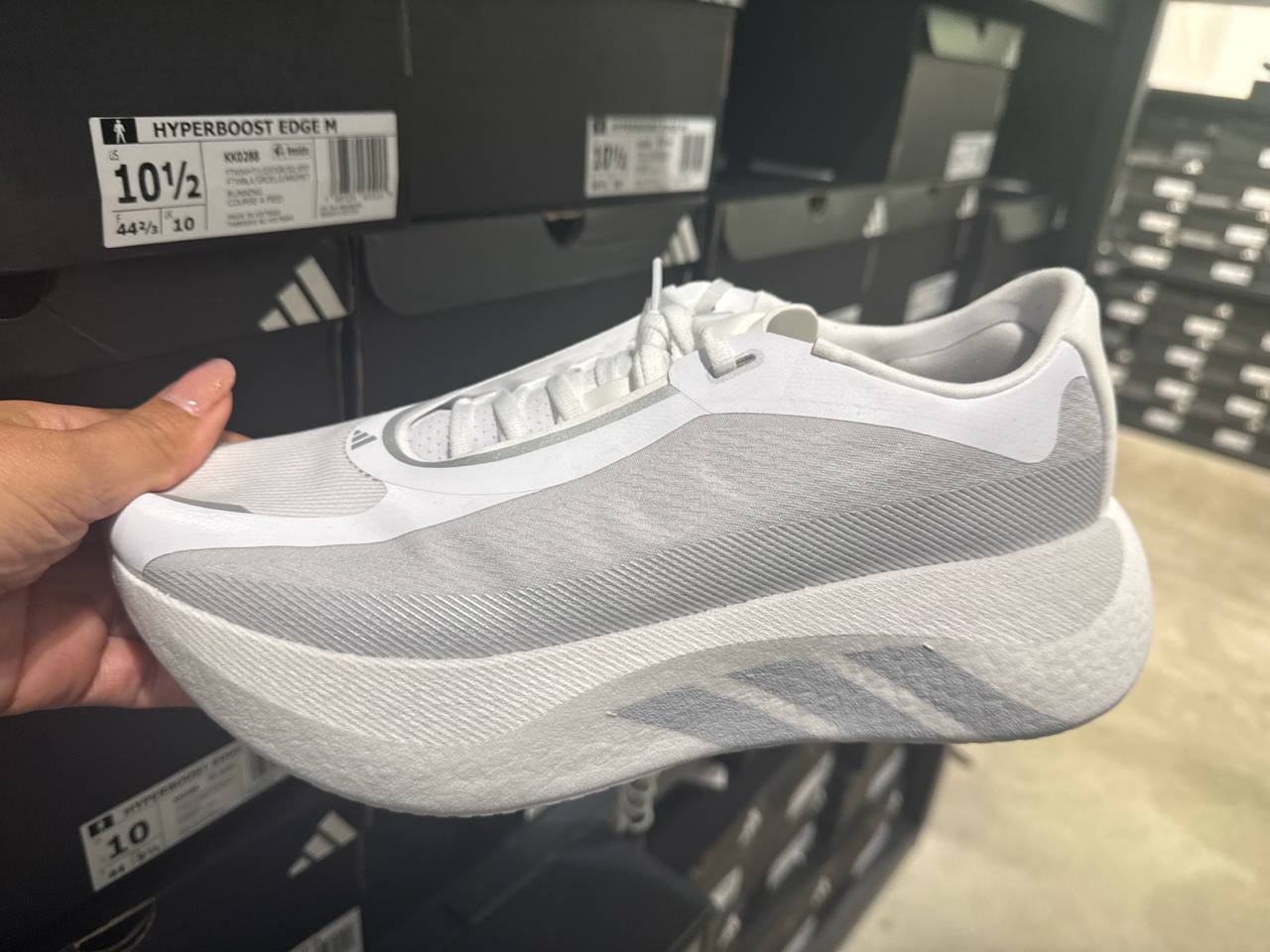 Tenis  número Americano