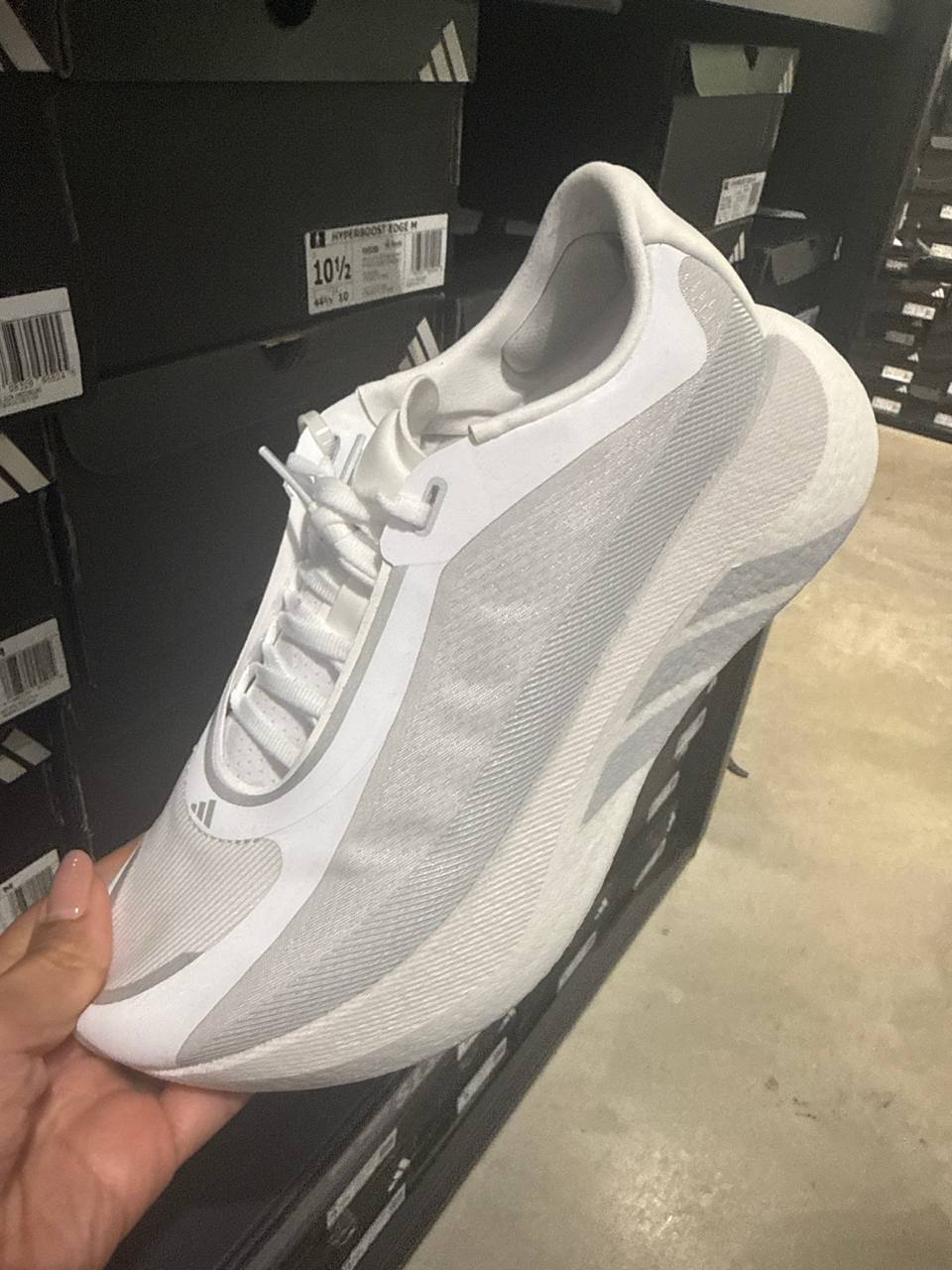 Tenis  número Americano
