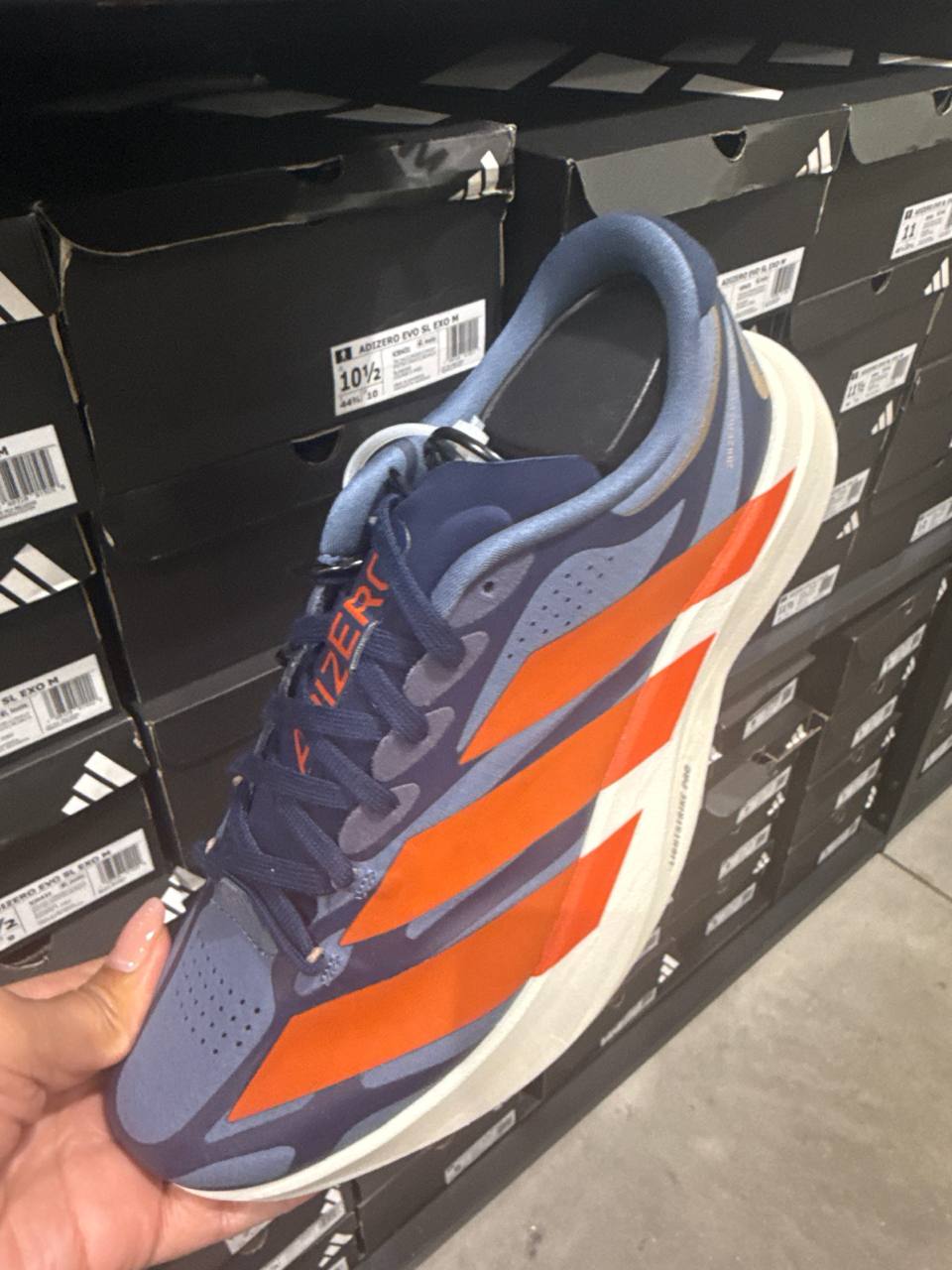 Tenis  número Americano