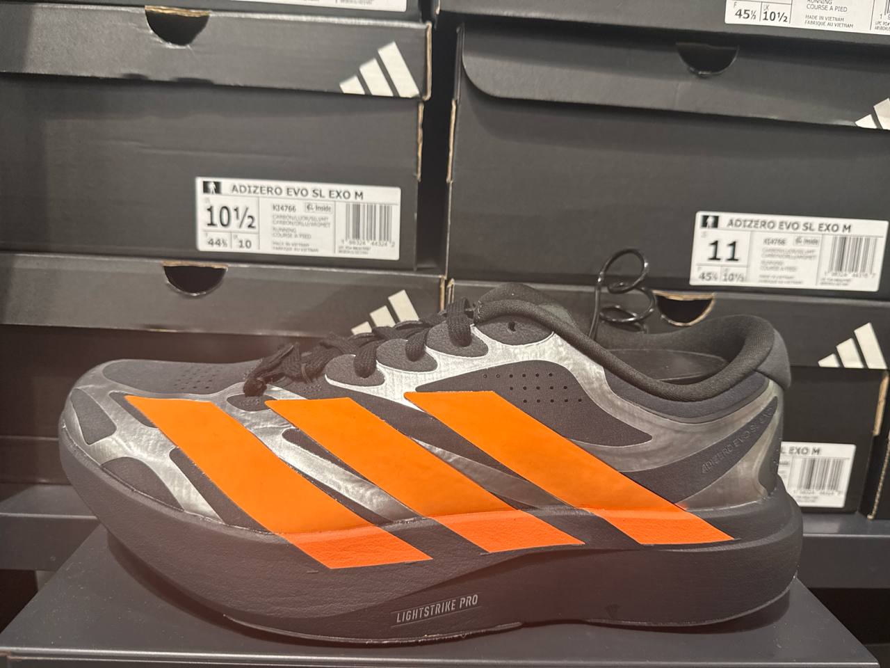 Tenis  número Americano