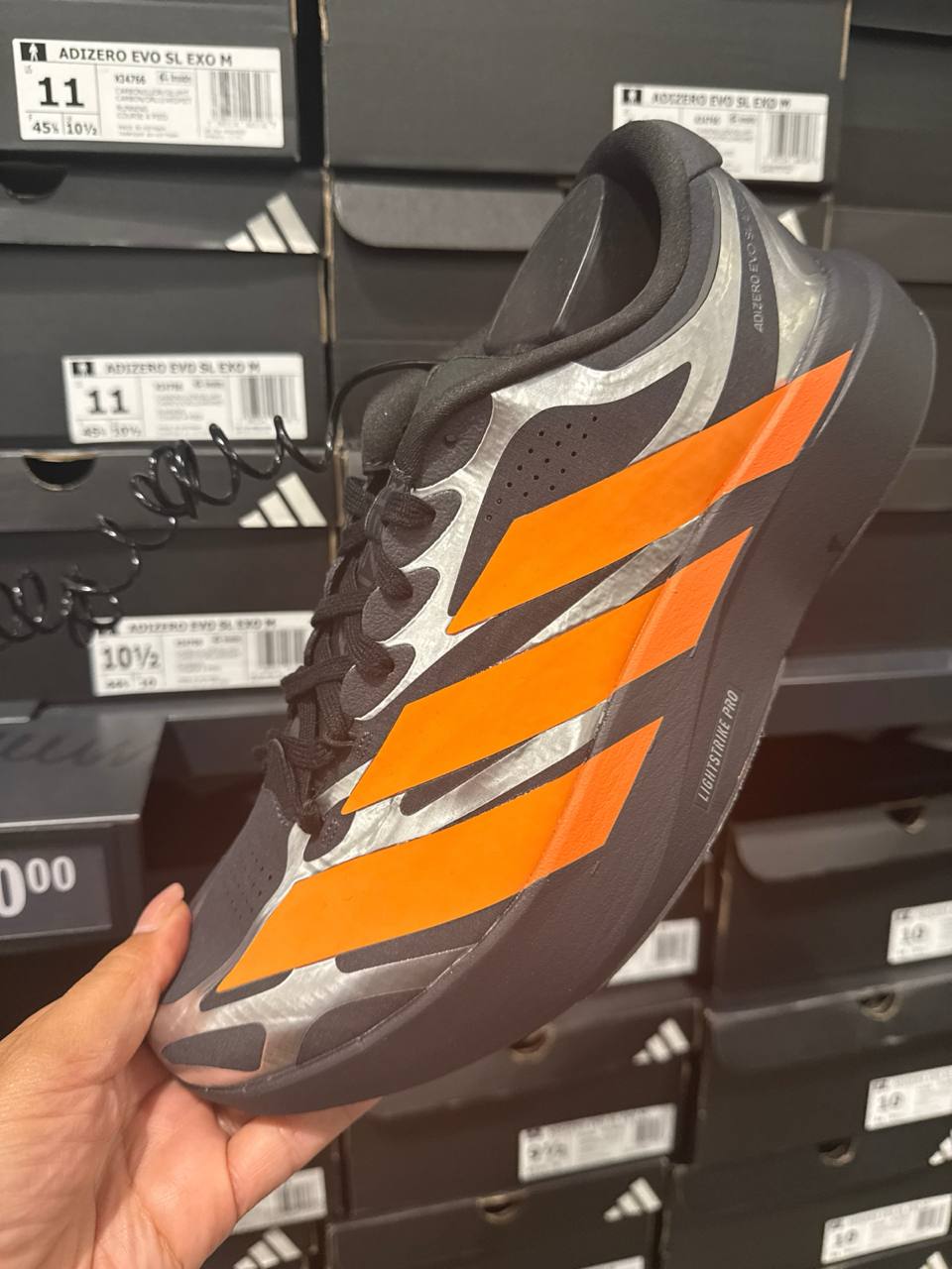 Tenis  número Americano
