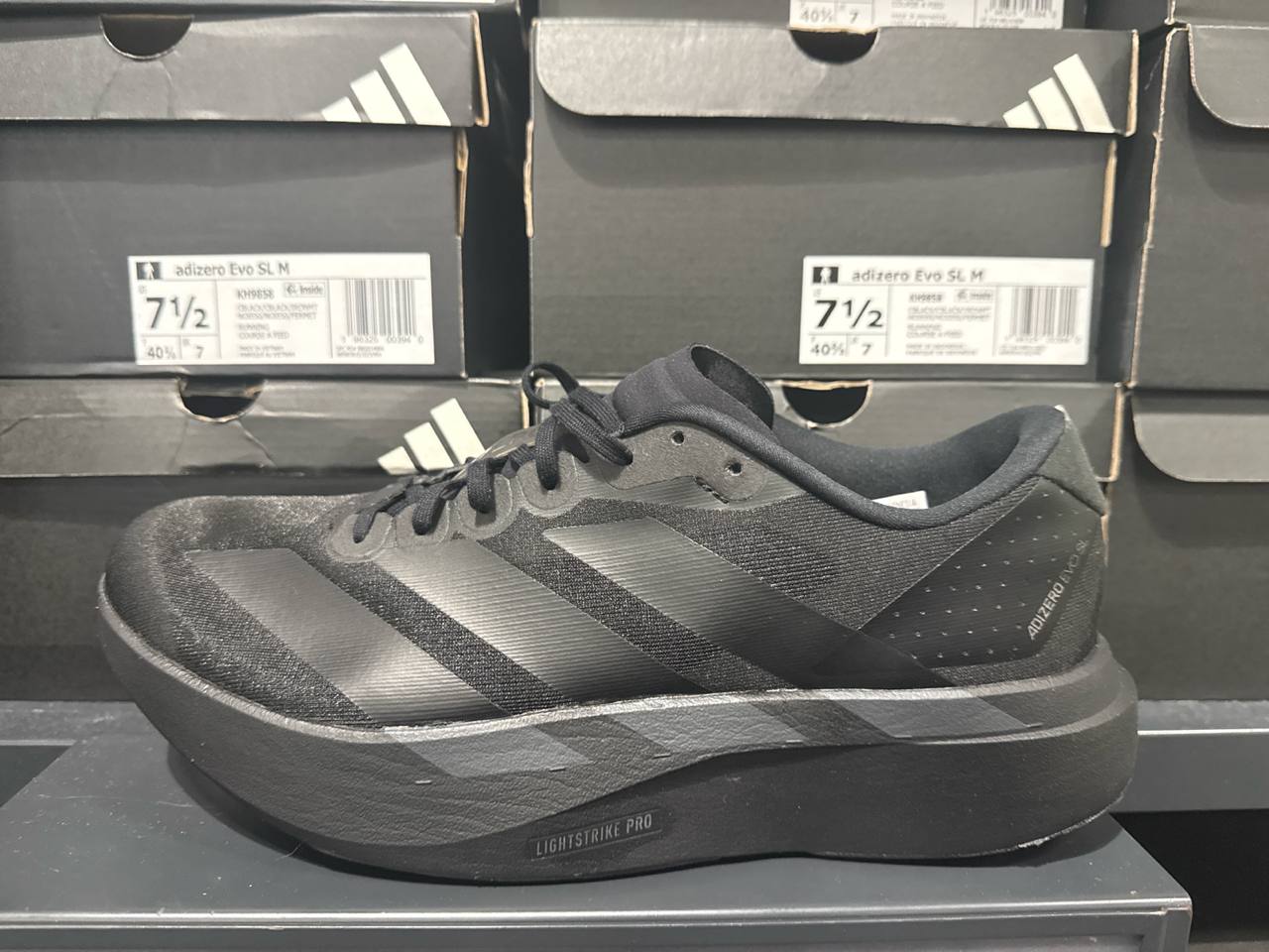 Tenis  número Americano