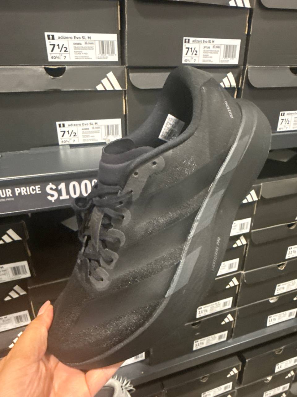 Tenis  número Americano