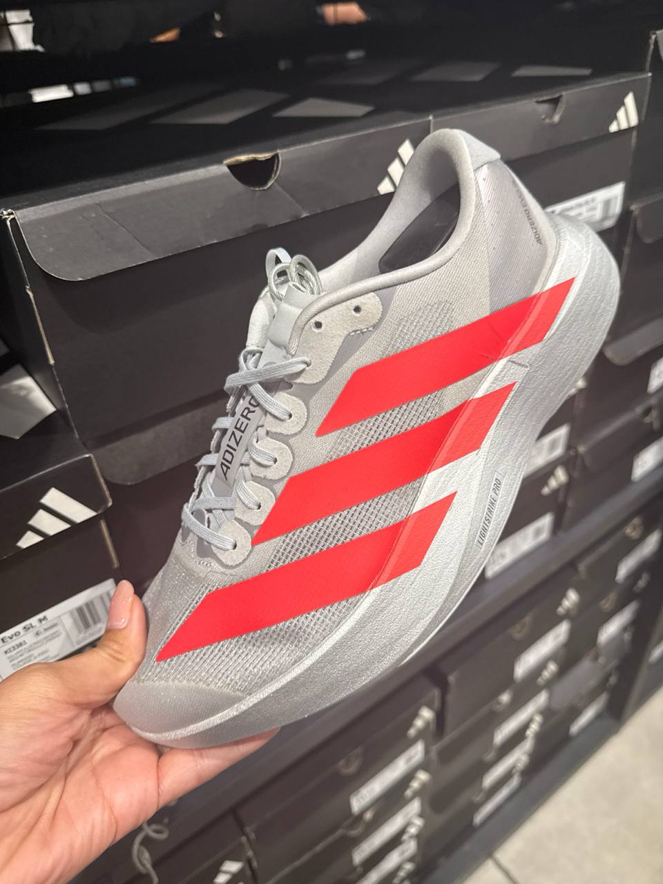 Tenis  número Americano