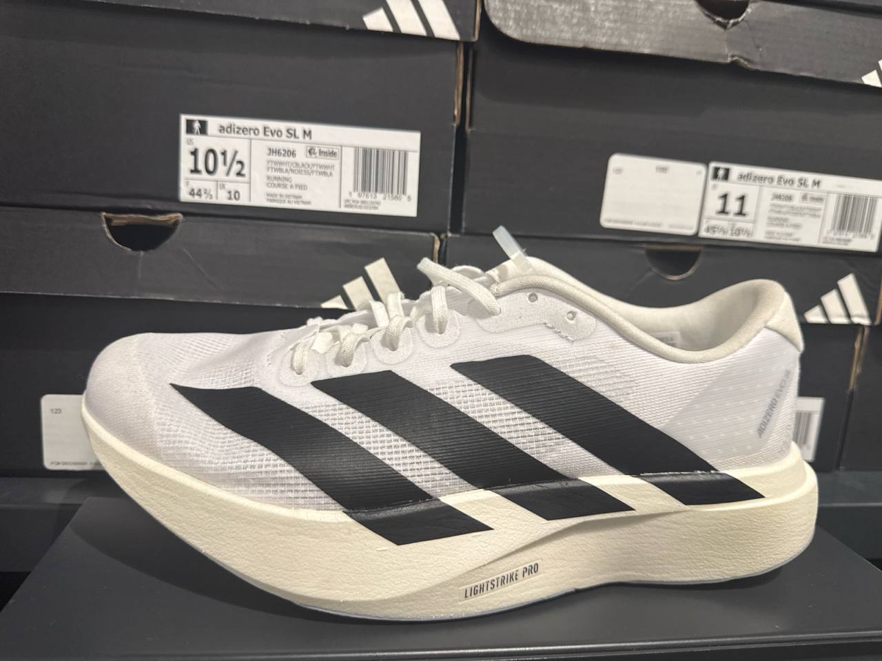 Tenis  número Americano
