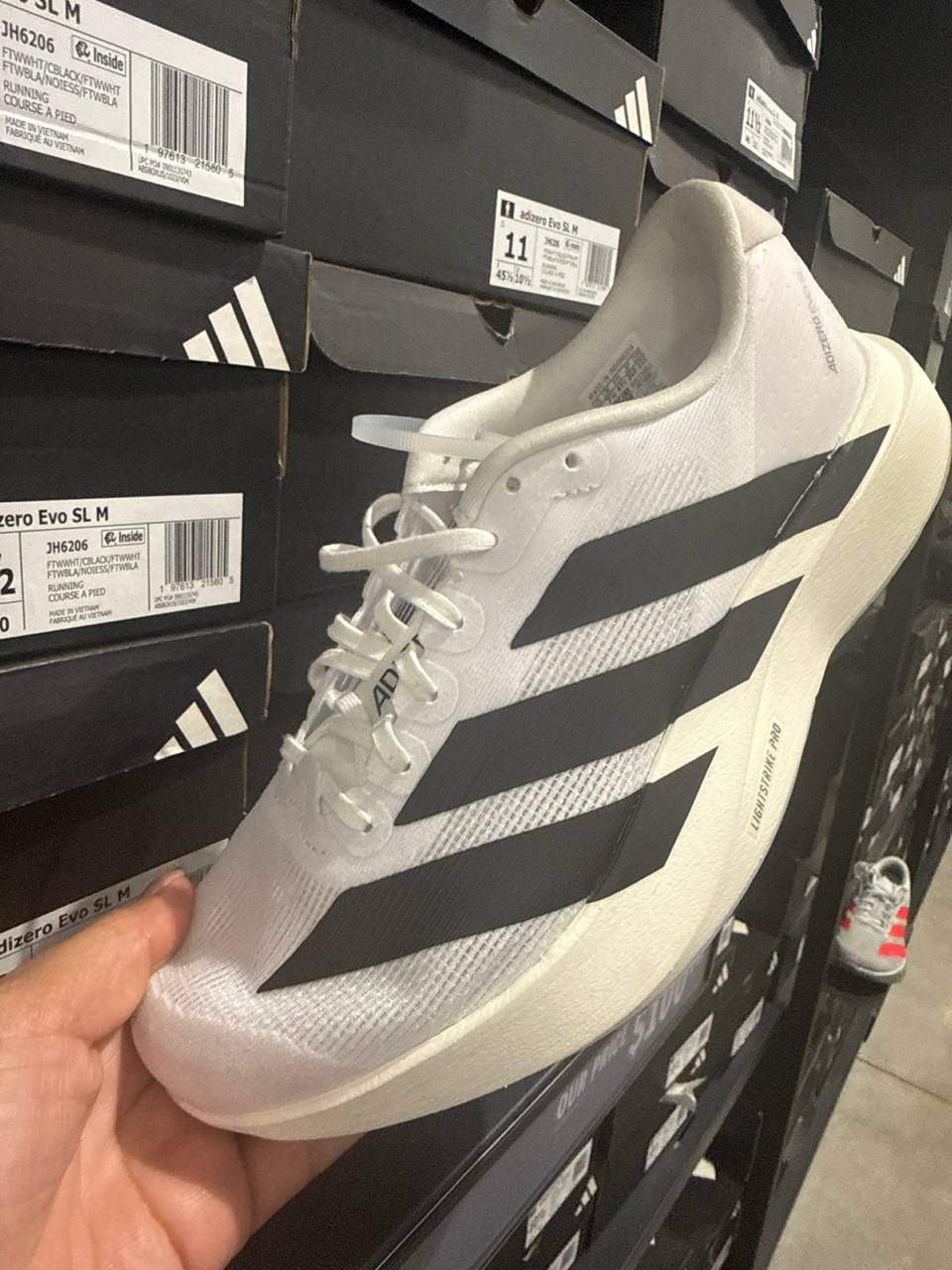 Tenis  número Americano