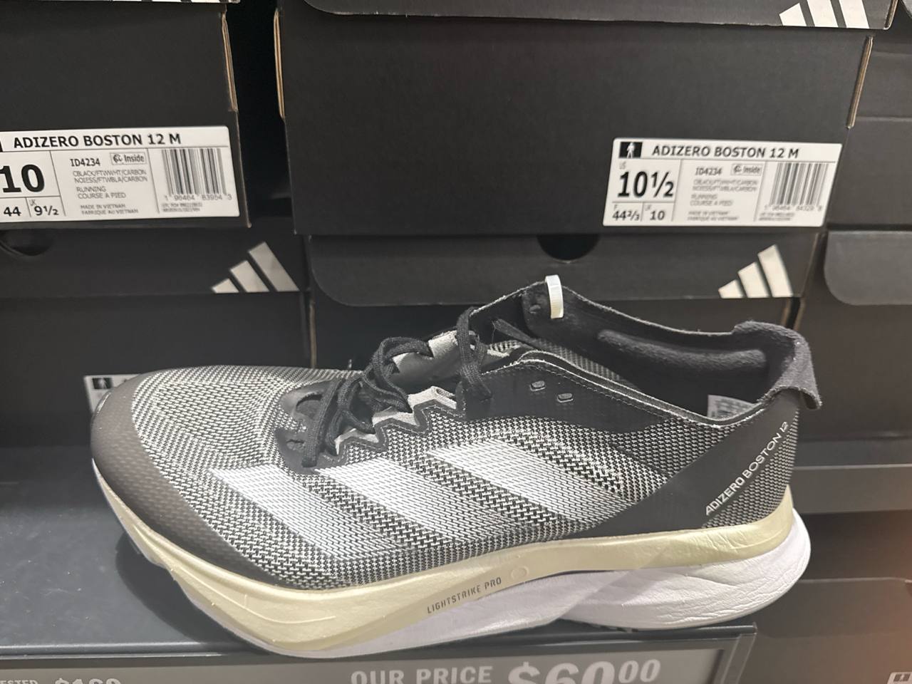 Tenis  número Americano