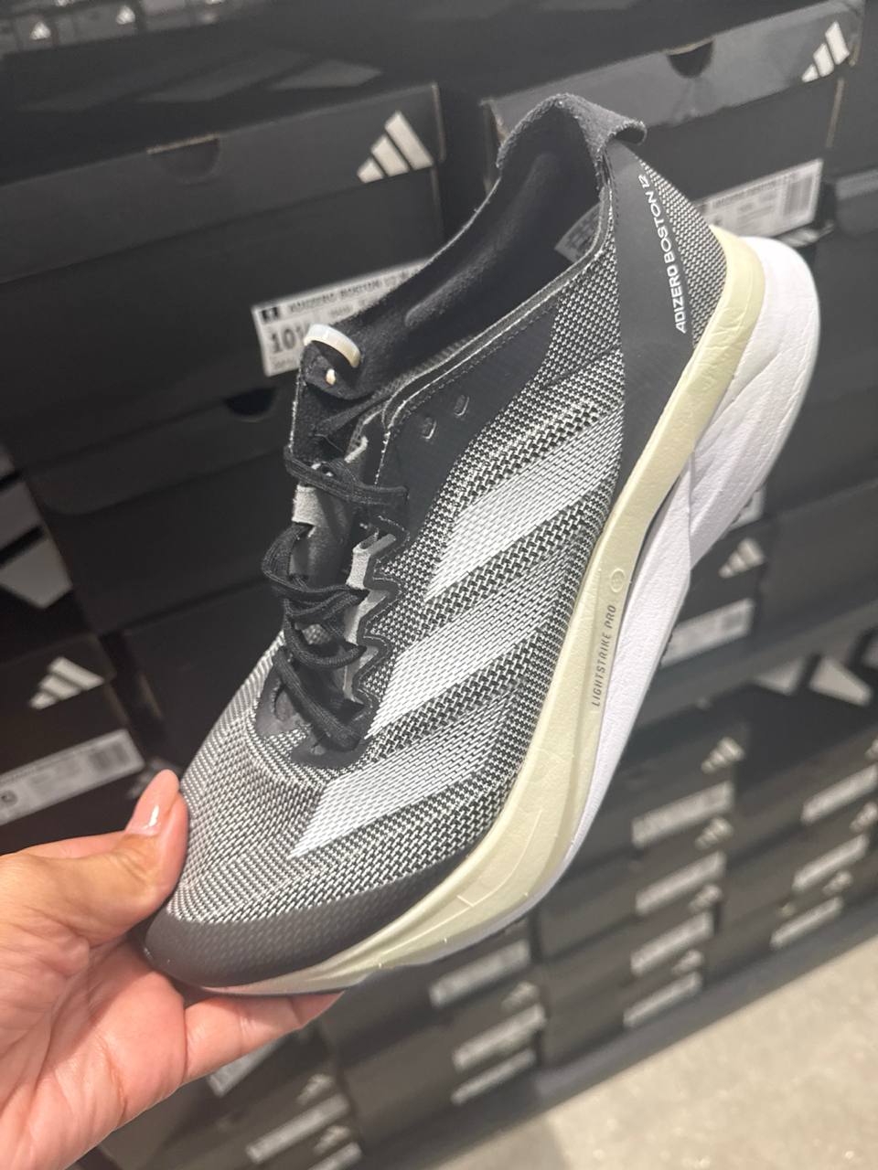 Tenis  número Americano