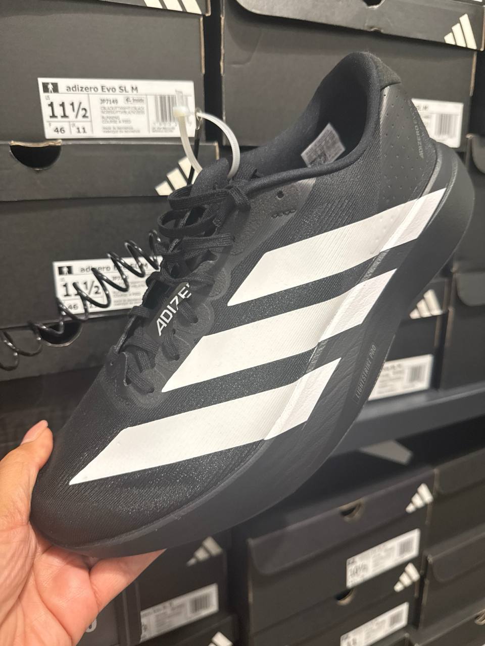 Tenis  número Americano