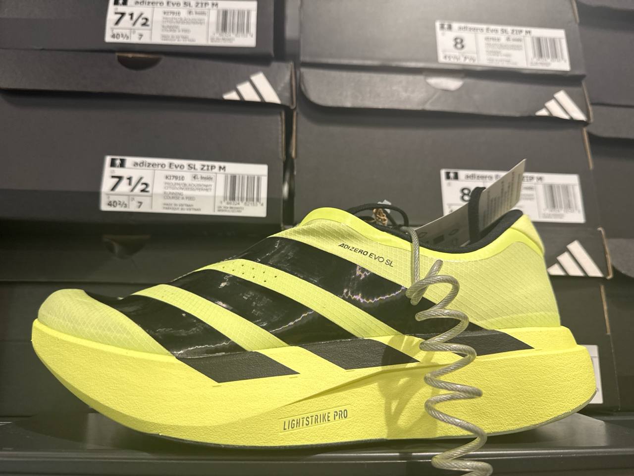 Tenis  número Americano