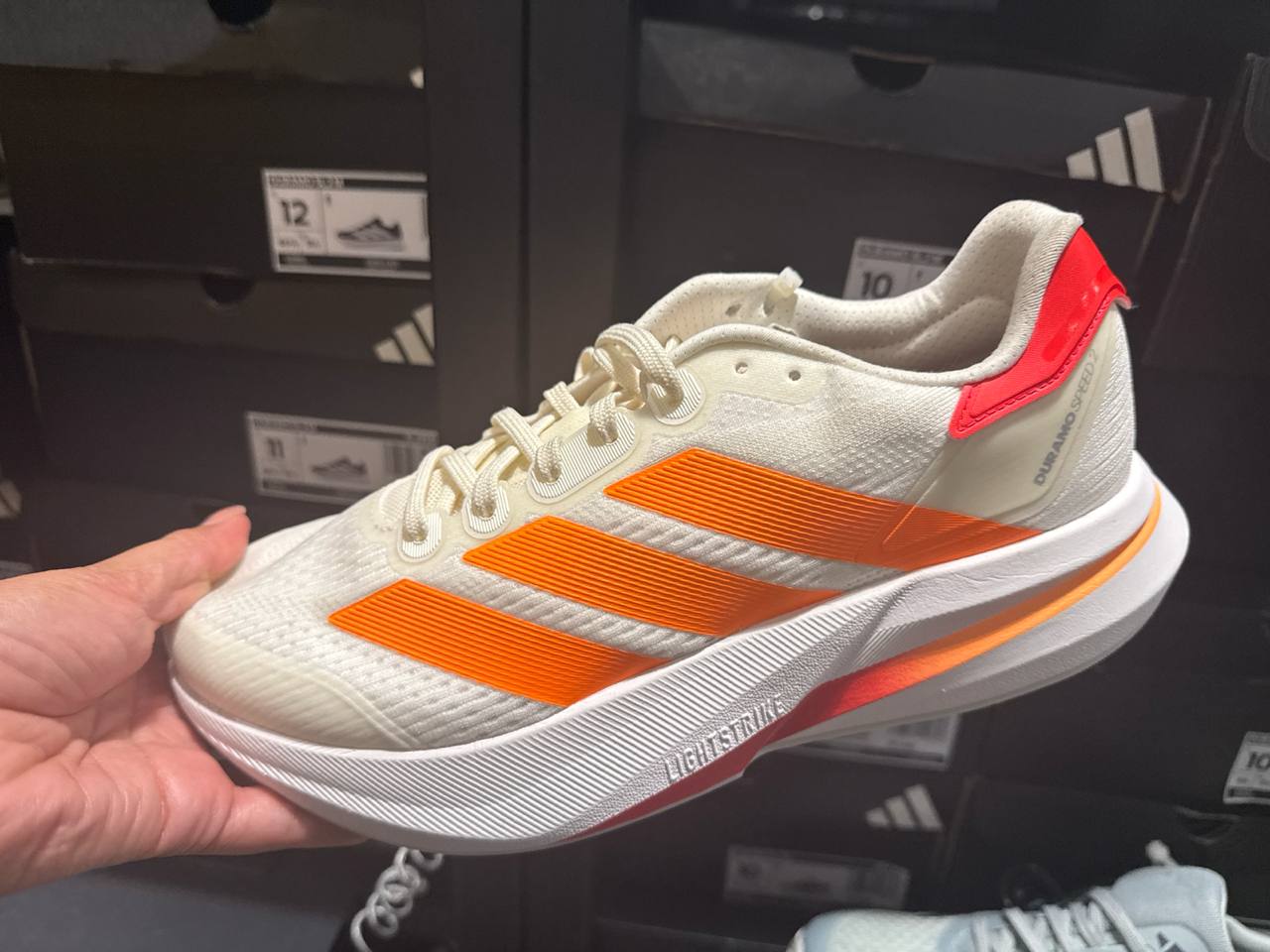 Tenis  número Americano