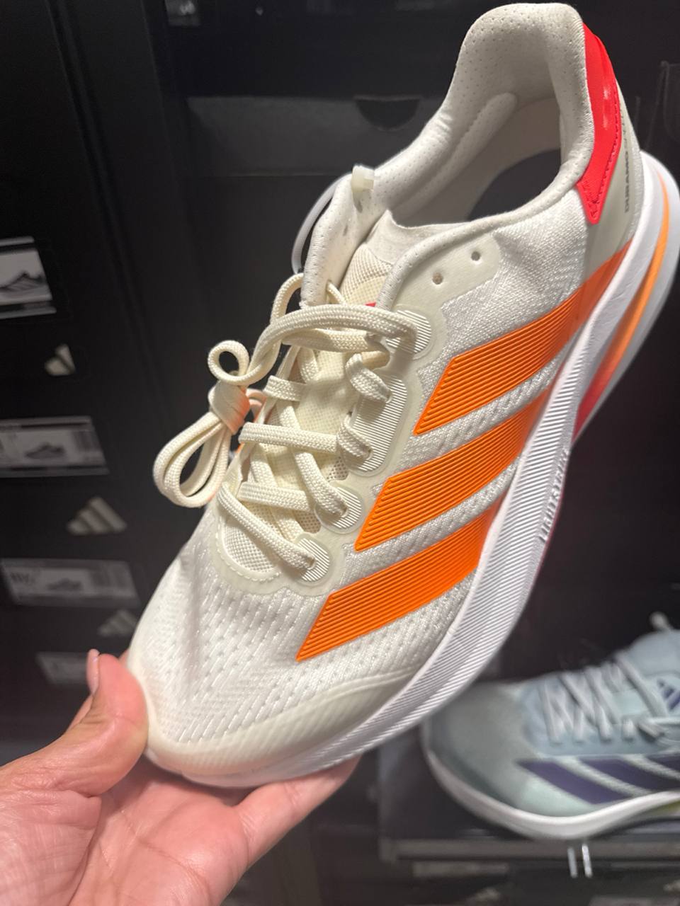 Tenis  número Americano