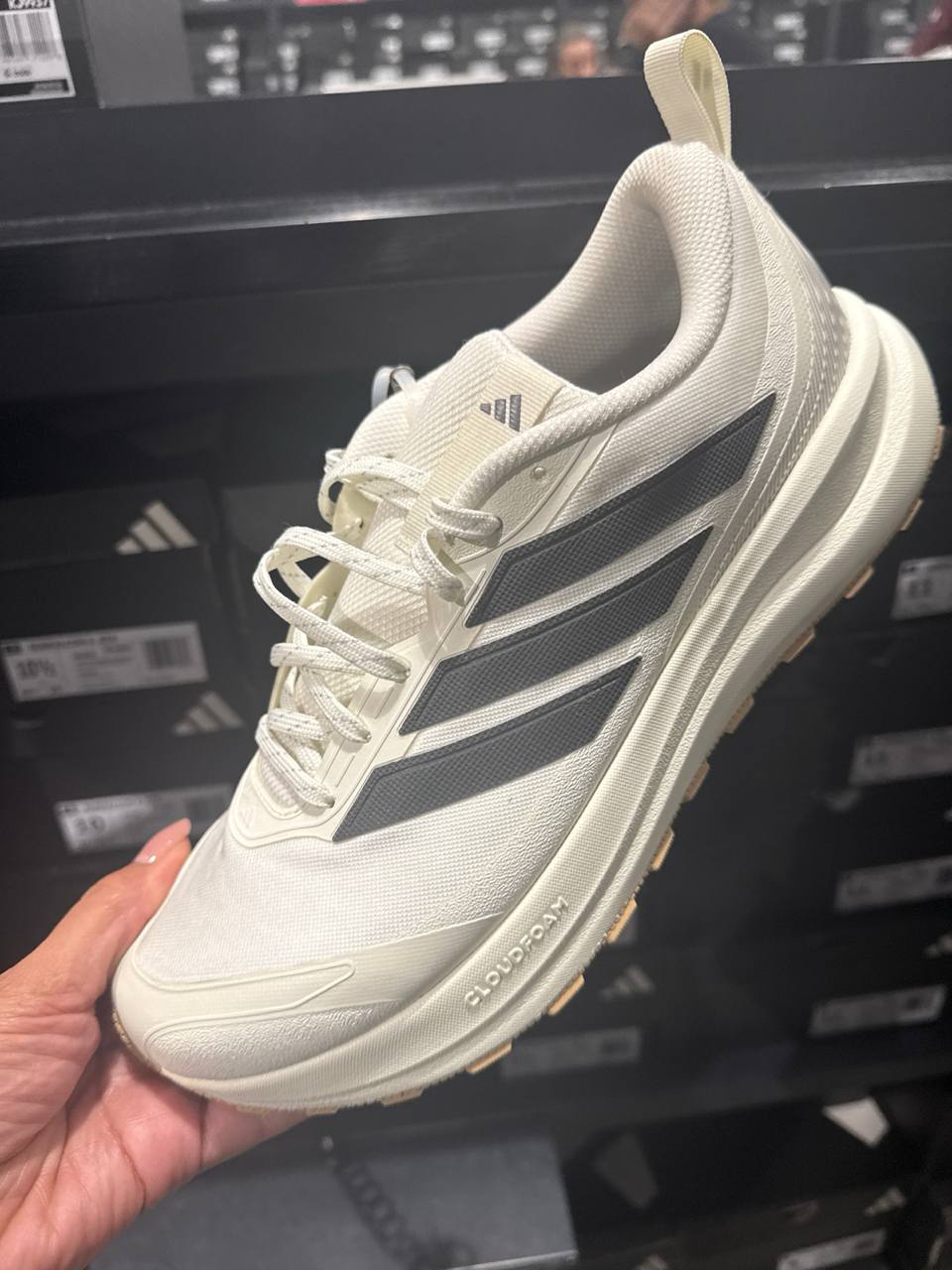 Tenis  número Americano