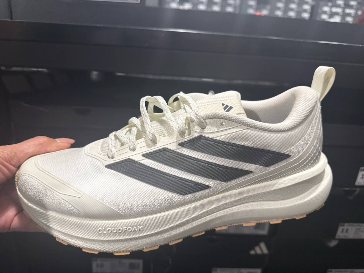 Tenis  número Americano