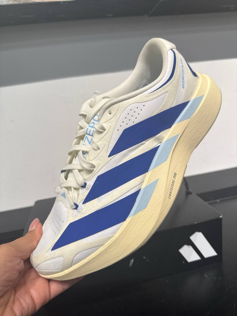 Tenis  número Americano