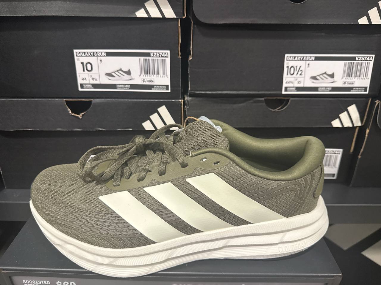 Tenis  número Americano