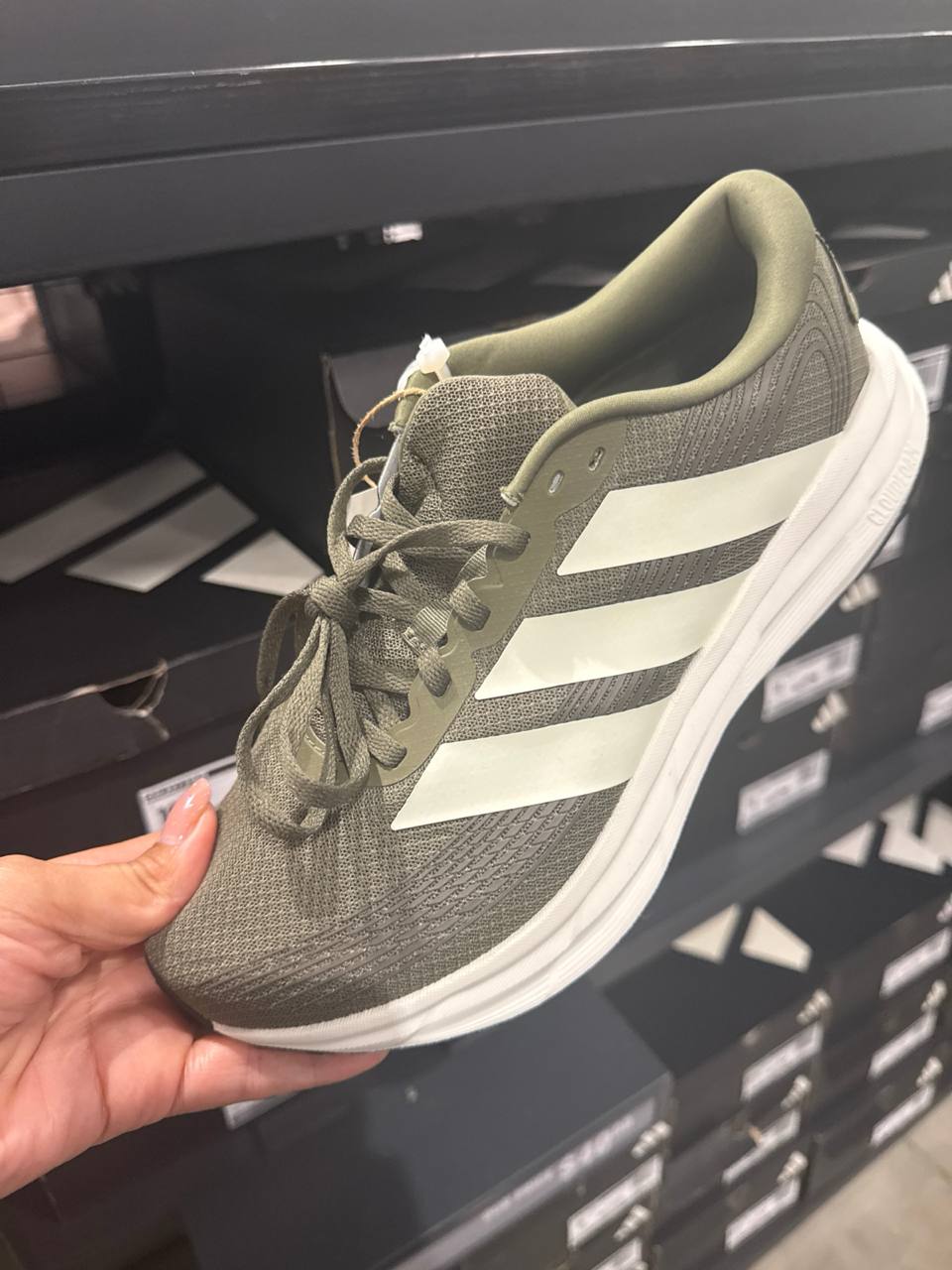 Tenis  número Americano