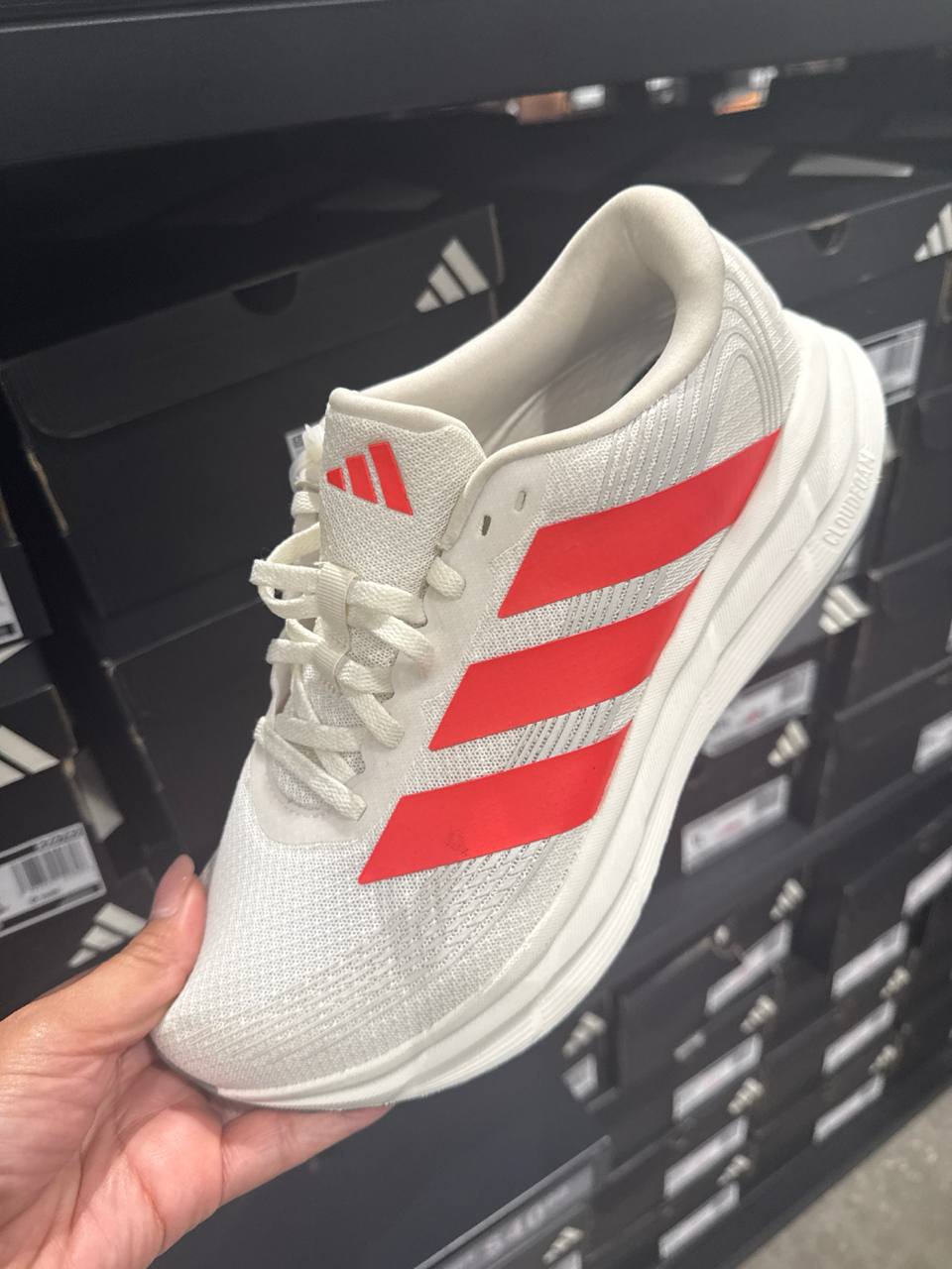 Tenis  número Americano