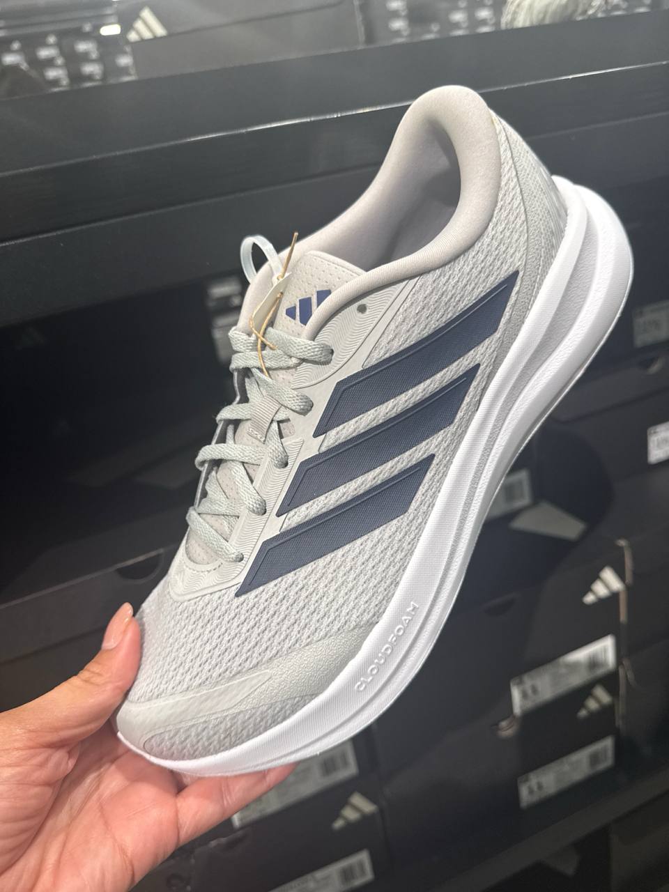 Tenis  número Americano