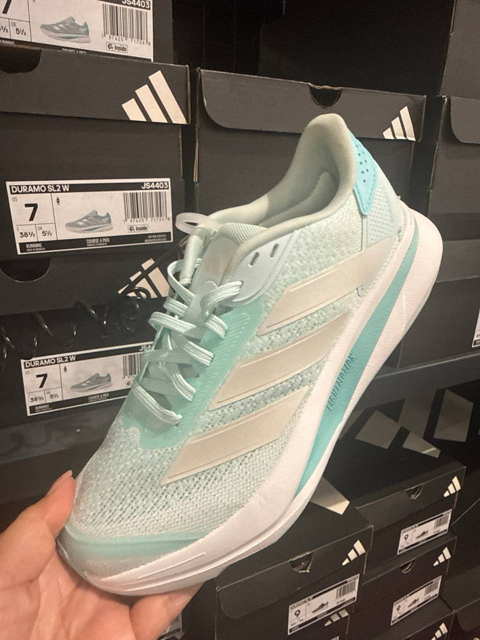 Tenis  número Americano