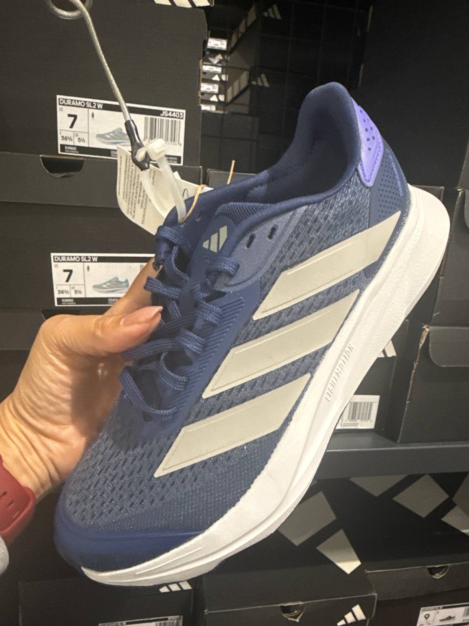 Tenis  número Americano