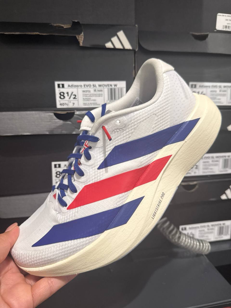 Tenis  número Americano