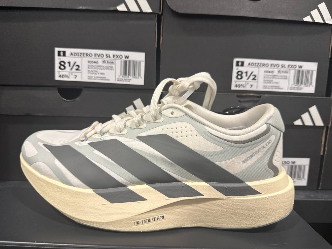 Tenis  número Americano